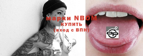 прущие грибы Абаза