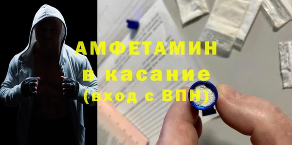 прущие грибы Абаза