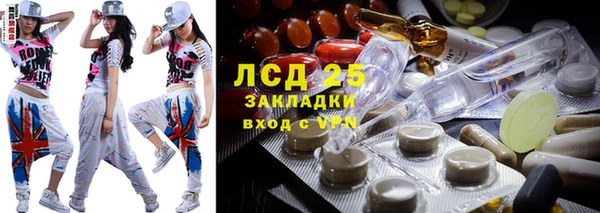 прущие грибы Абаза