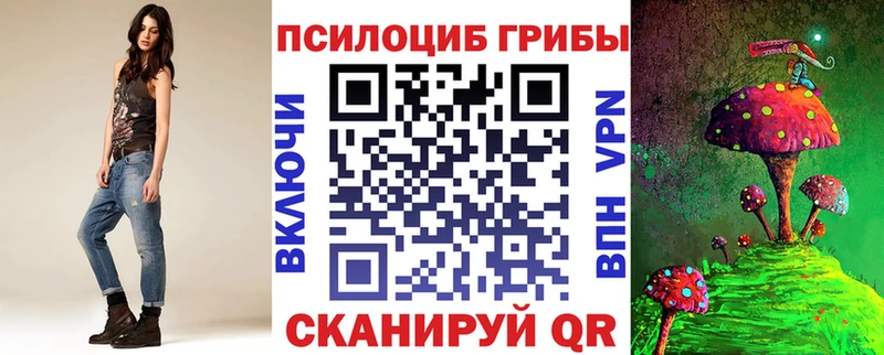Псилоцибиновые грибы Psilocybe  сколько стоит  Ильский 